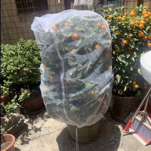 Kerti növénytakaró védőháló rovarok ellen - 100 x 150 cm
