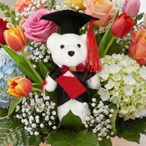 Ajándék - Diplomás maci - 13 cm