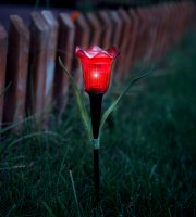 LED-es szolár tulipánlámpa - sárga / piros / rózsaszín - 31 cm - 12 db / kínáló