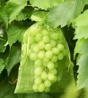 30db Gyümölcsvédő háló