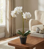 Műnövény dekoráció - orchidea - 2 féle - 54 cm