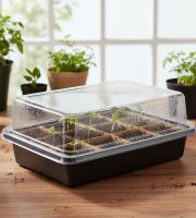 Palántanevelő tálca átlátszó kupolával - 20 x 15 x 10 cm